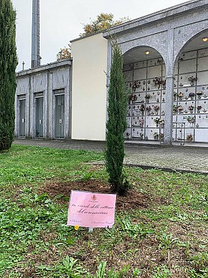 ALBERI COVID